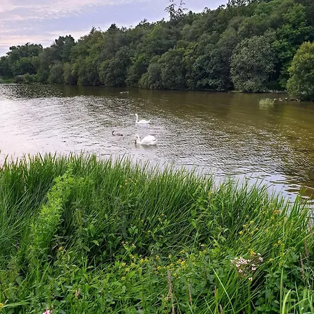 Nellies & Log Chalet
