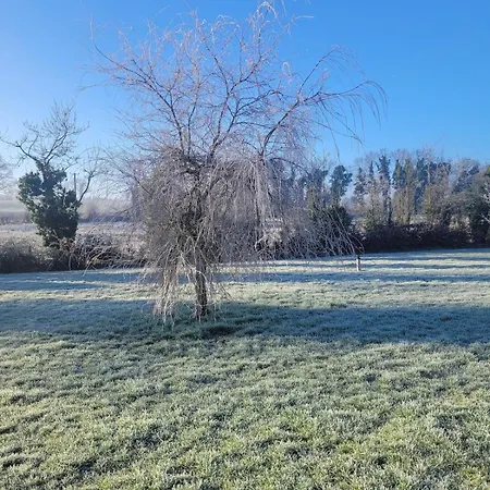 Nellies & Log Chalet Kilcogy