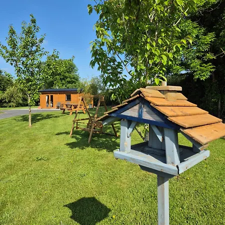 Nellies & Log Kilcogy