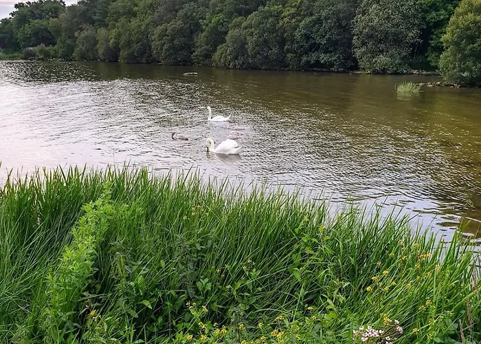 Nellies & Log Alpehytte