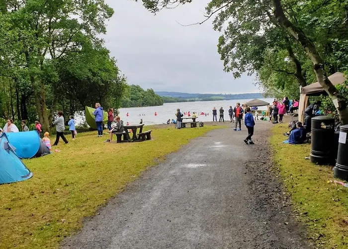 Alpehytte Nellies & Log