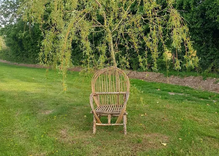 Alpehytte Nellies & Log